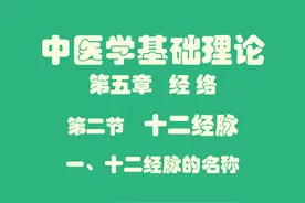 中医基础理论 “十二经脉”名称全解｜分布规律+真题精讲+速记口诀图片