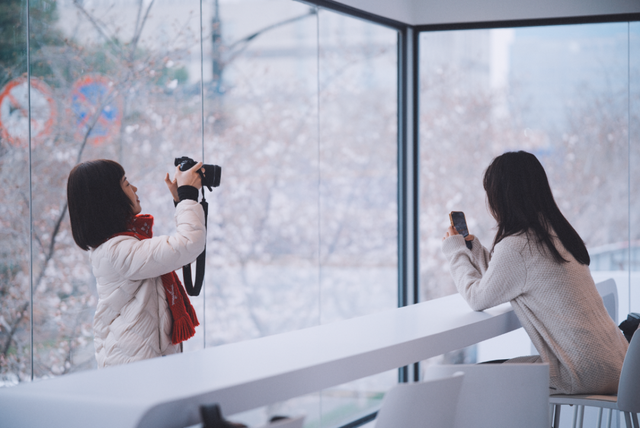 “凤滁路的樱花开了吗？”