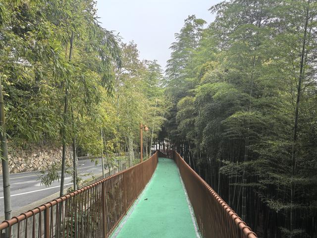 浙江湖州市德清县莫干山国家风景名胜区游记（下）
