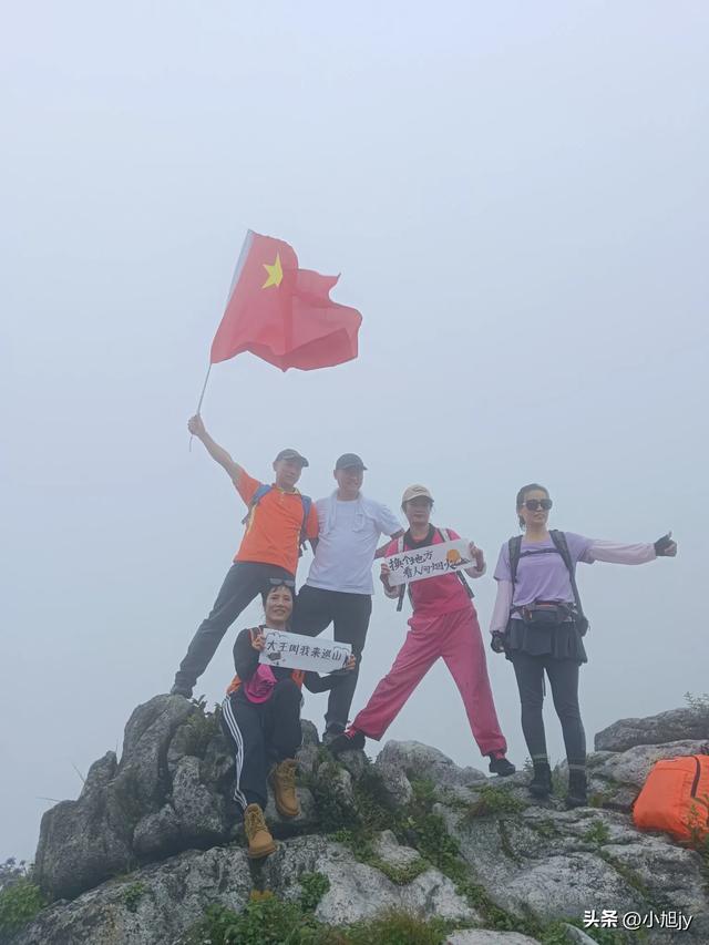 再登辽阳千米高峰白云山,云雾弥漫,金莲花盛开