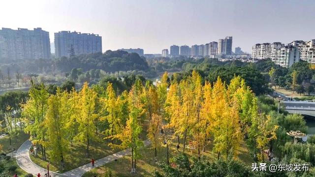 你好 东坡！| 明月路：邂逅一条湖光浸润的诗意长廊