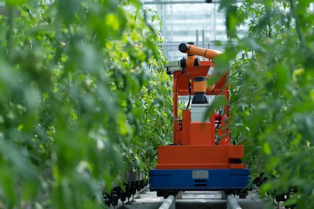 沪上这9条秋游线路，带你走进申城最美的秋景~