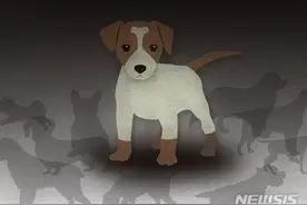 父亲摔死她爱犬，她心碎暴怒！即便在警察面前，仍持刀刺向父亲图片