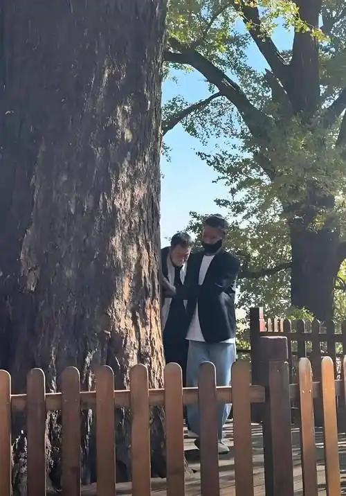 离春节不到2个月	，52岁辛柏青高调官宣喜讯，朱媛媛总算能安心了