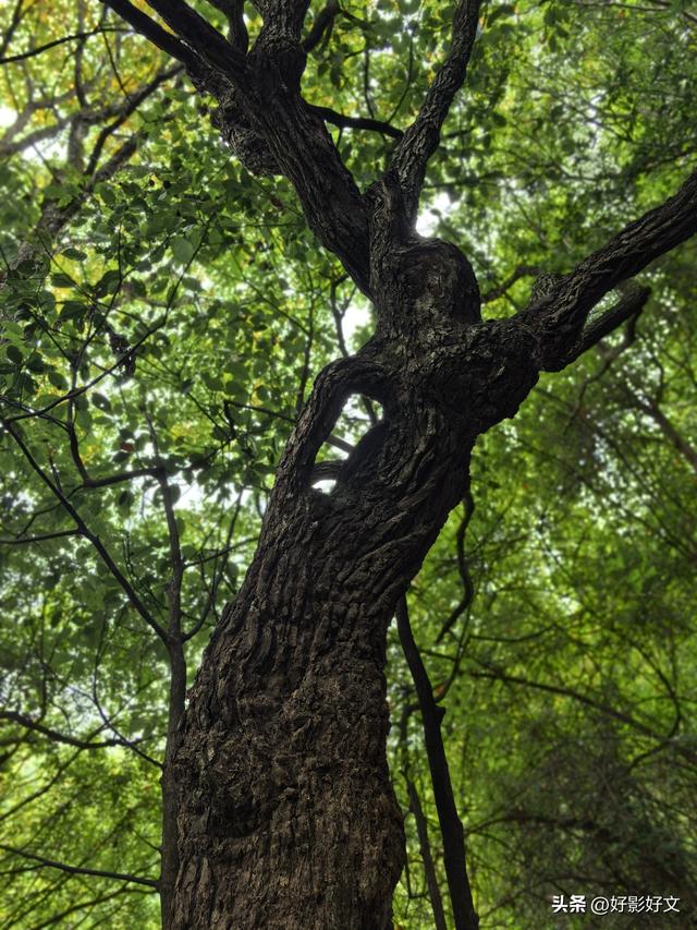 永葆兵本色 树好党员样——闽西红色之旅纪行之一