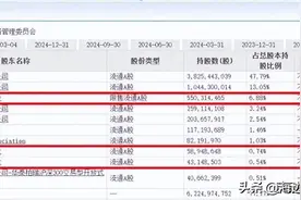 社保重仓&国资控股&低价，电力板块优质五朵金花图片