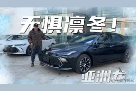 冬季续航不缩水！还得丰田亚洲龙图片
