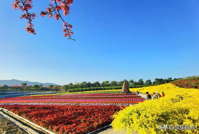 佛山市民国庆出游不用出家门，三水这个花主题景区将游客拉回春天