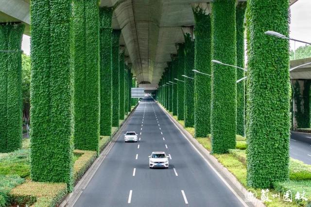 197处！苏州“绿荫花路”地图来了！