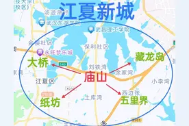 建议江夏区政府迁至庙山，力促汤逊湖两岸统一，江夏新城中部崛起图片