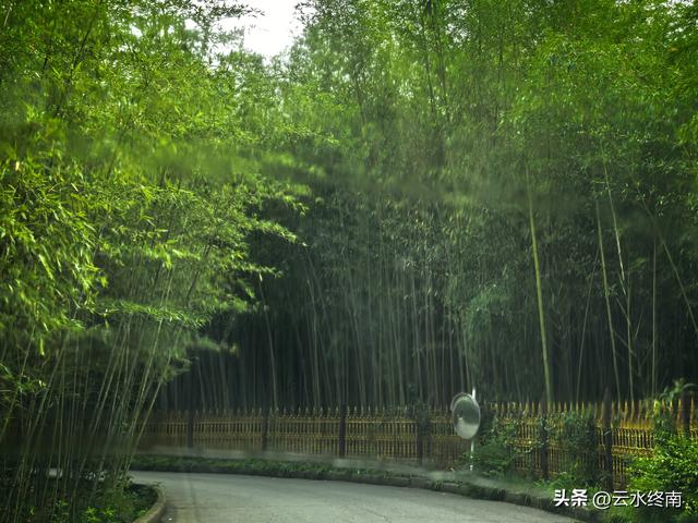 “天下第一福地”、西安这么有名气的地方免费开放，竟然还不知道