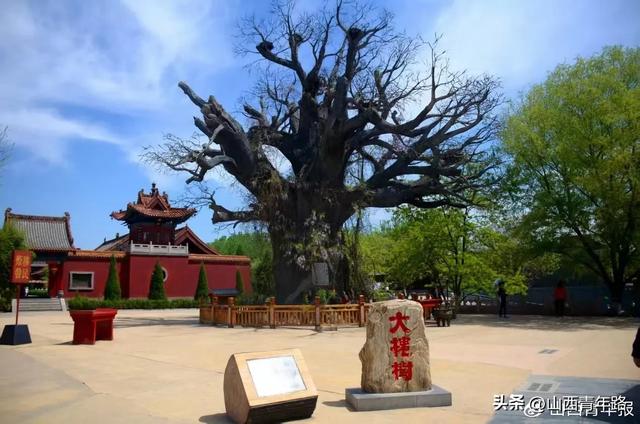 著名作家看山西 赏古建黄河寻根“中华第一都”