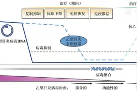 慢性乙型肝炎临床治愈的中国实践、治疗策略和展望图片