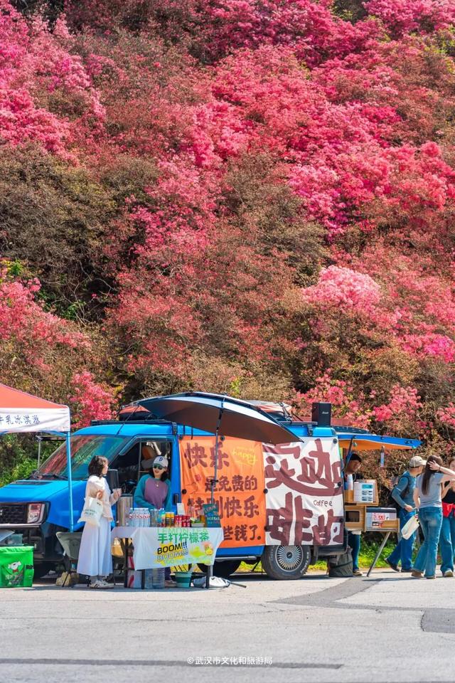 单日游客创五年之最！云雾山搅热“花经济”