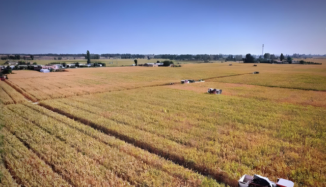 小城故事多——今天给大家介绍有着“小江南”之称的张掖市临泽县