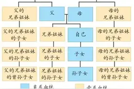 【一看就会】直系血亲、旁系血亲及其代数的判定，你近亲结婚了吗图片