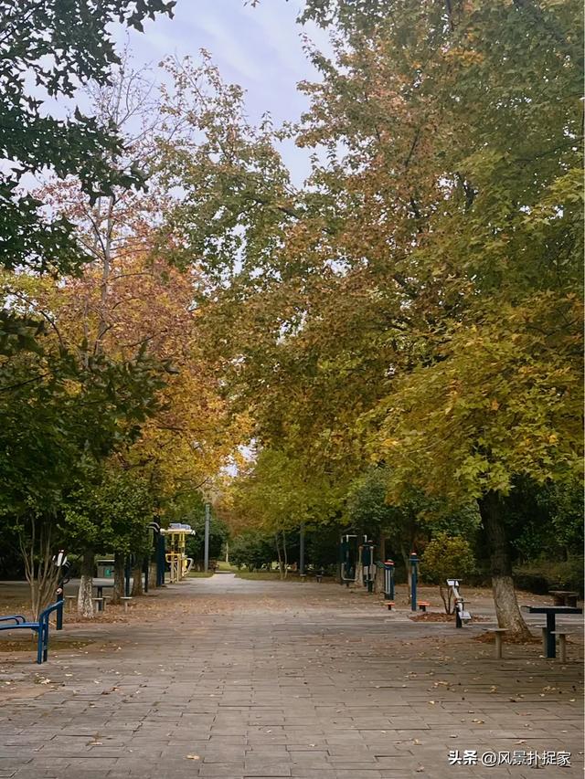 南昌的晚秋，风景美如画