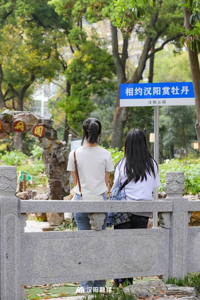 汉阳公园牡丹初绽，快来赴春宴~