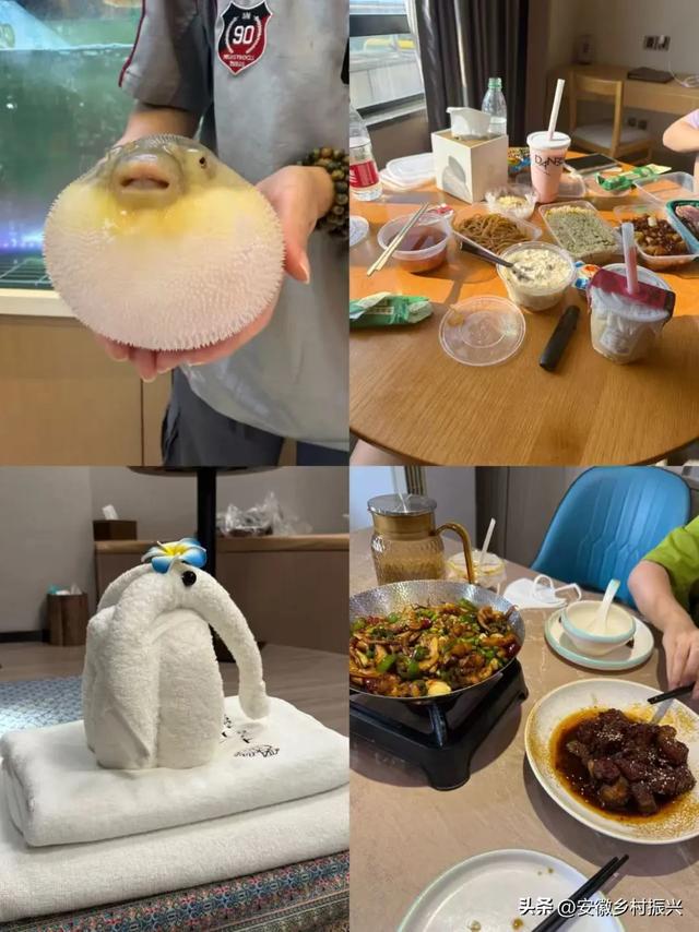躺平式休假真是爽啊