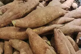 红薯是理想主食之一，吃的时候记住3个原则，千万别吃错图片