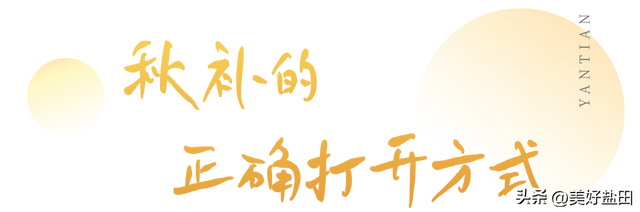 深圳秋日，不太经典但100%让人上头