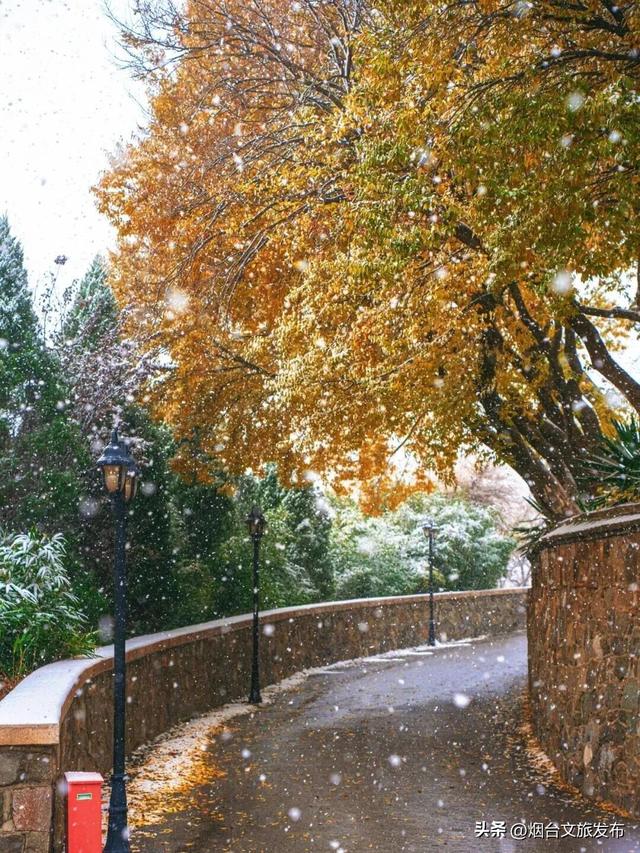 【乐游烟台】公交直达！烟台市中心神仙秘境，限时绝美