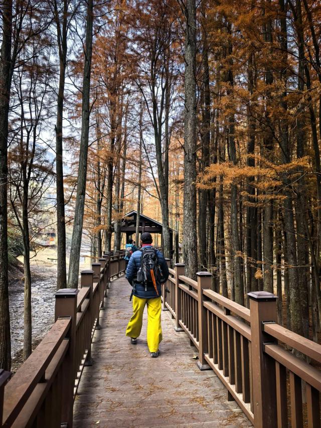 因何而徒,步履发声——徒步众生相