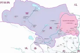 消失的西夏王国去哪儿了？党项族及其文明都消失了吗？原来在这里图片