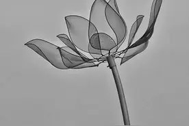 人体衰老退化时间表图片