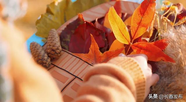 秋韵浸水园 微光与落叶的密语