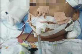 上海3岁男童被虐致死案，孩子母亲不要赔偿，就想让凶手死刑图片