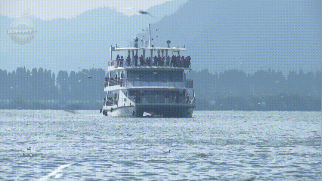 “Color Walk”火了！在昆明，用颜色解锁一座城