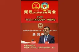 发展百万人口的新疆伊宁市图片