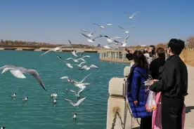 嘉峪关这些画面你见过吗？随便拿一张照片出来都能炫“朋友圈”图片