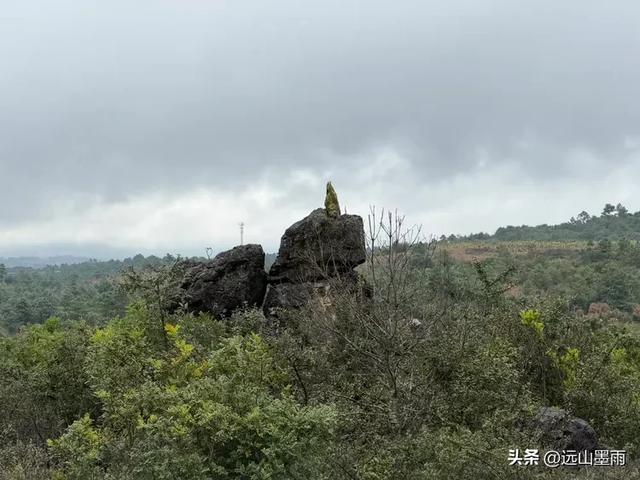 徒步石林蓑衣山、赏水上石林,遇降雨淅淅沥沥,收获特别的体验