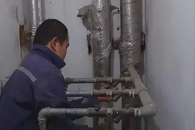 山西热力井遍地大蛇，蛇群不冬眠却在蹭暖气！蛇群为何出现在这？图片