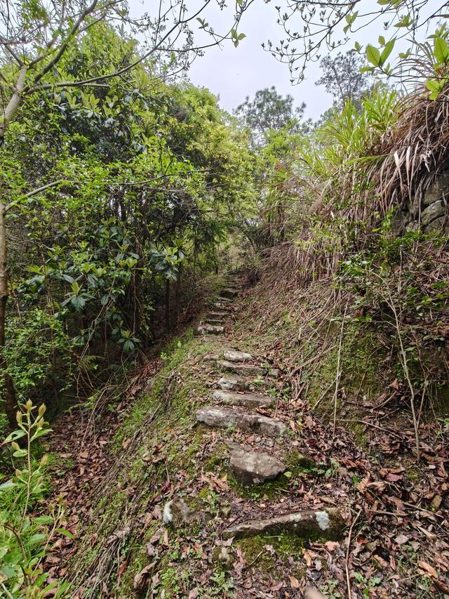 仙居县大木辽村，寻寻觅觅落脚地，起起落落下山走
