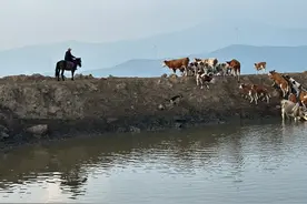 【太行山自驾】飞狐古道的空中花园图片