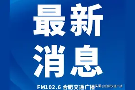 刚刚！合肥学区划分方案公布时间确定图片