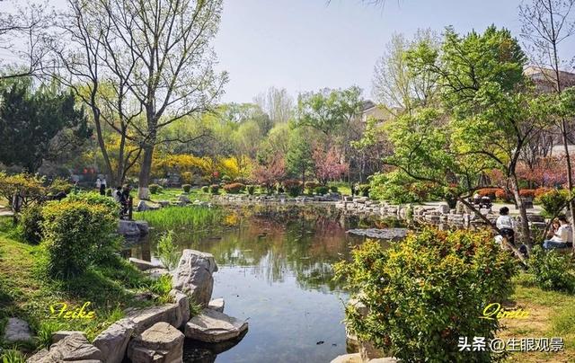 影记 | 春色春景之青州范公亭(上)