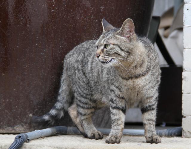 徜徉·太原古县城·太原