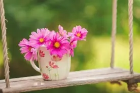 一个女人是否命好，看“她的手”就够了图片