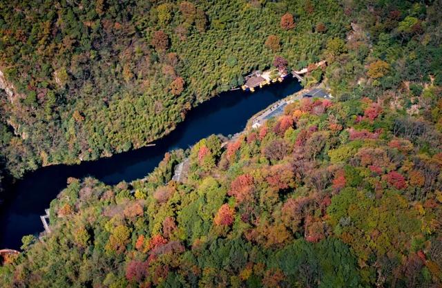骑行赏枫、古村寻秋……被祁门的「枫景」治愈啦！| 皖美秋日