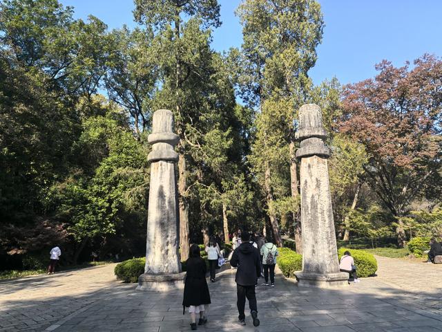 南京紫金山郊野徒步