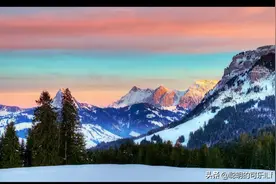 生肖龙出生最好的农历月份，一生顺风顺水，好运不断！图片