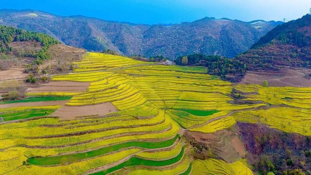 万亩花海迎宾客！第三届“诗韵大河·金色花海”农文旅推介暨促消费活动预告来啦～