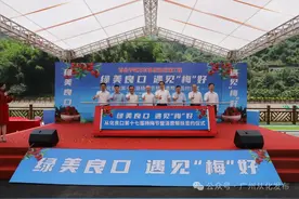 杨梅成熟！来从化，遇见“梅”好→图片