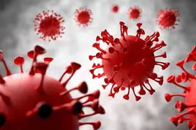 新冠在两年内导致1300万人死亡！新冠病毒三大结局已经不可避免图片