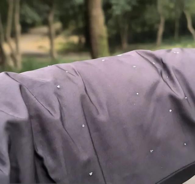 南京紫金山下雪了！江苏多地迎来初雪，这次能顺利入冬吗？