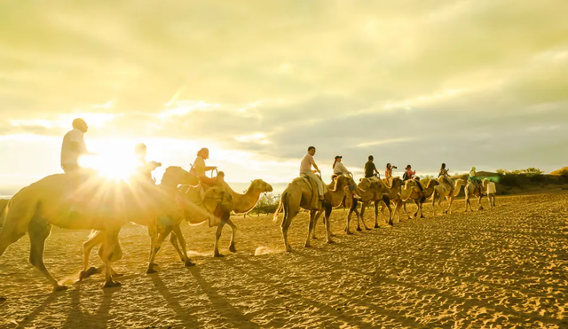 塞上江南 颐养宁夏丨银川篇：漫游湖城享自然，邂逅闽宁“山海情”